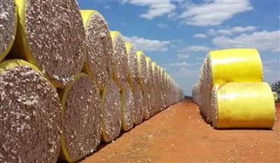 Pamučna folija za zamatanje bale